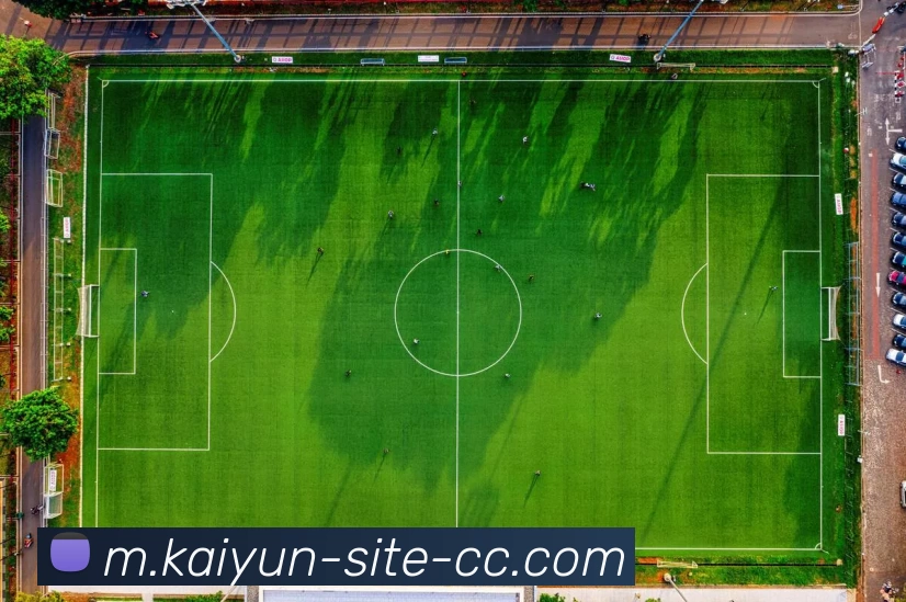 开云体育发展历程