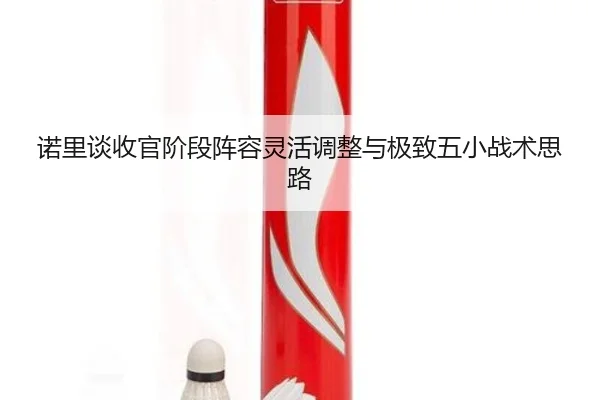 诺里谈收官阶段阵容灵活调整与极致五小战术思路(KAIYUNSPORTS)